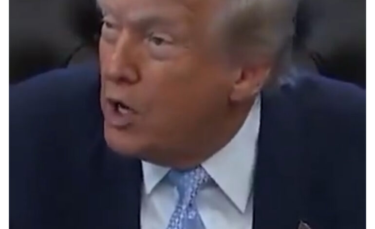 Se confirma exclusiva de Agapo: Trump estuvo atento a la marcha del sábado