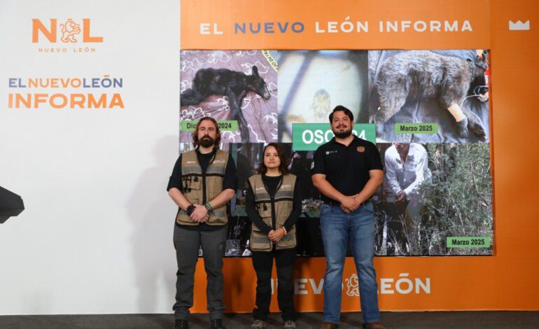 Reconoce la «North American Bears Expert Team» a NL en la conservación del oso negro