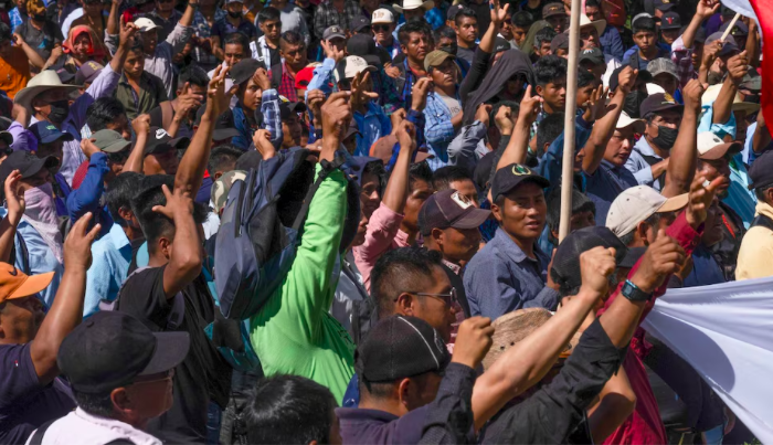 Ante la falta de apoyos, campesinos siembran amapola y advierten que no permitirán que se las destruyan