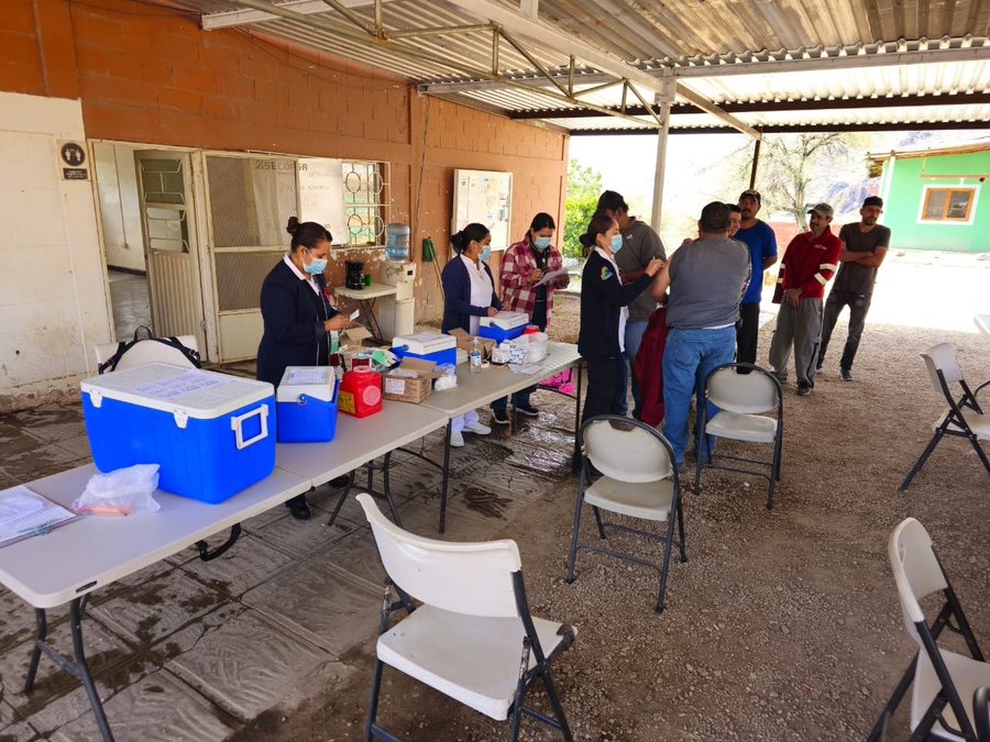 Confirma Salud federal primer caso de influenza virus A H3N2 subclado K