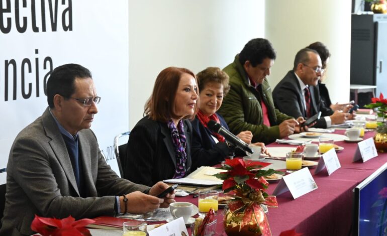 Reforma electoral será tan profunda como la judicial: Laura Itzel Castillo, líder del Senado