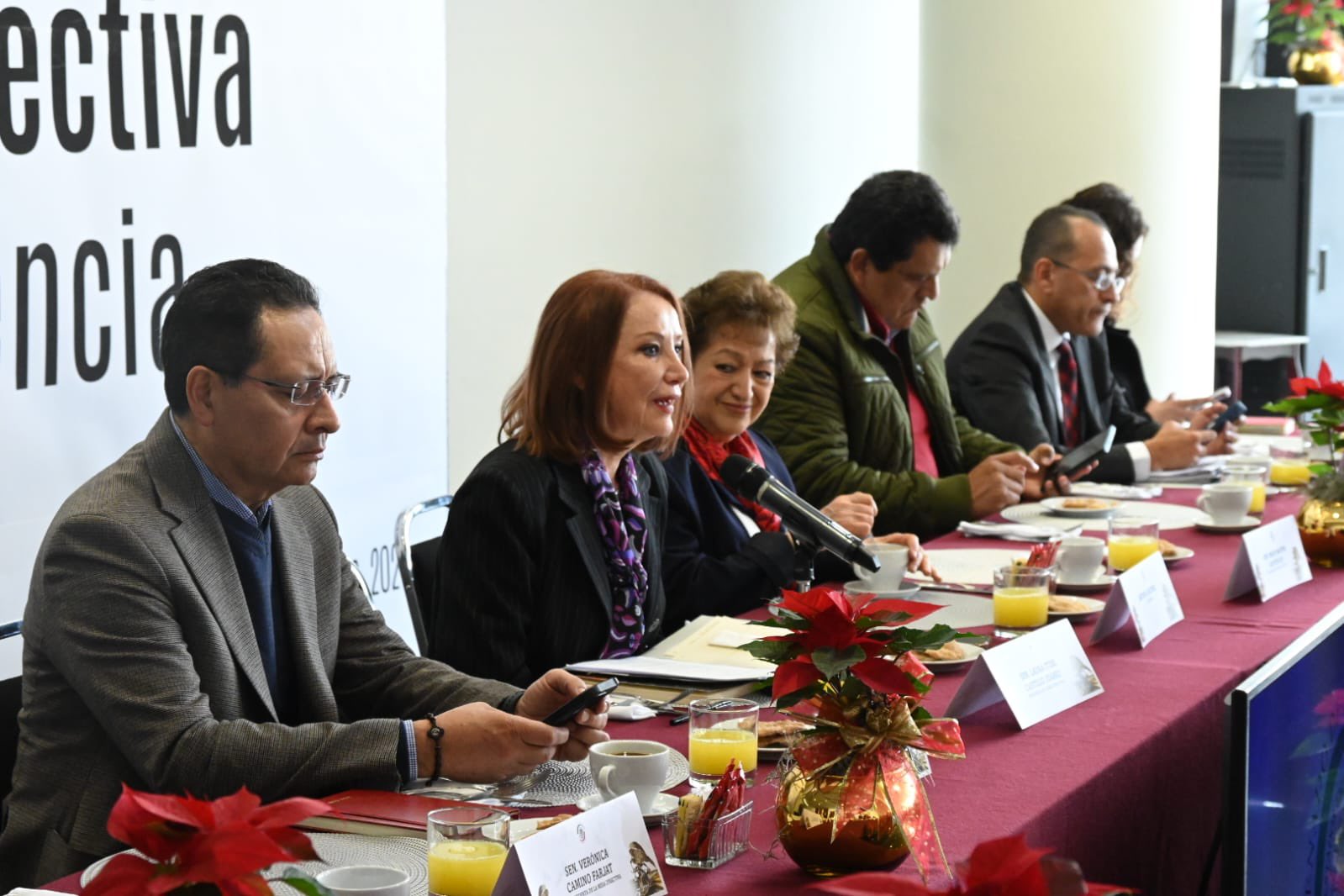 Reforma electoral será tan profunda como la judicial: Laura Itzel Castillo, líder del Senado