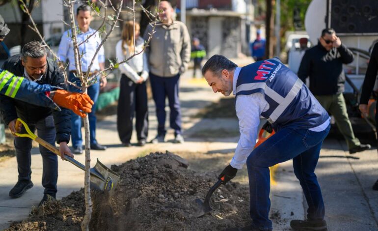 Interviene Monterrey colonia Hidalgo con acciones de limpieza y mantenimiento urbano