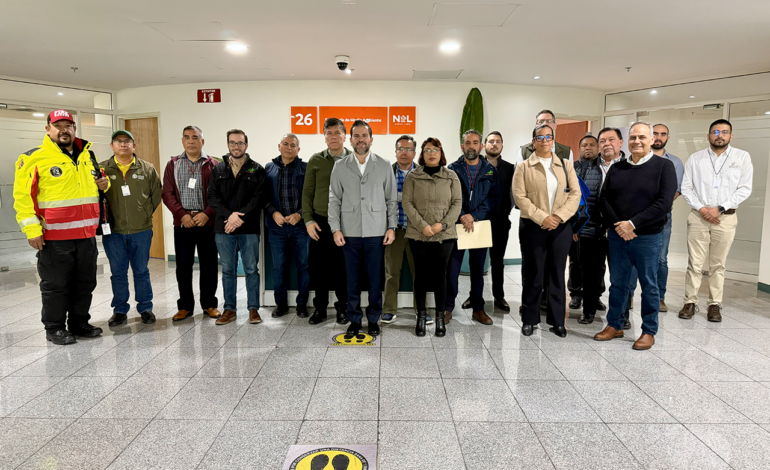 Estado y Federación activan plan contra plaga forestal en Nuevo León