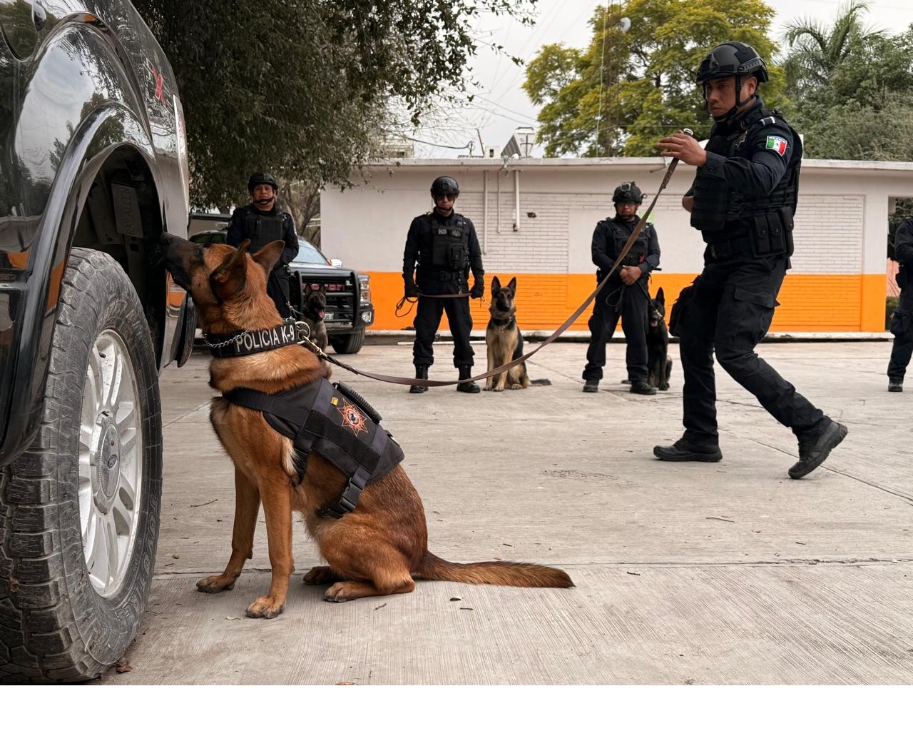 Fortalece Guadalupe adiestramiento de Binomios K9 rumbo al Mundial