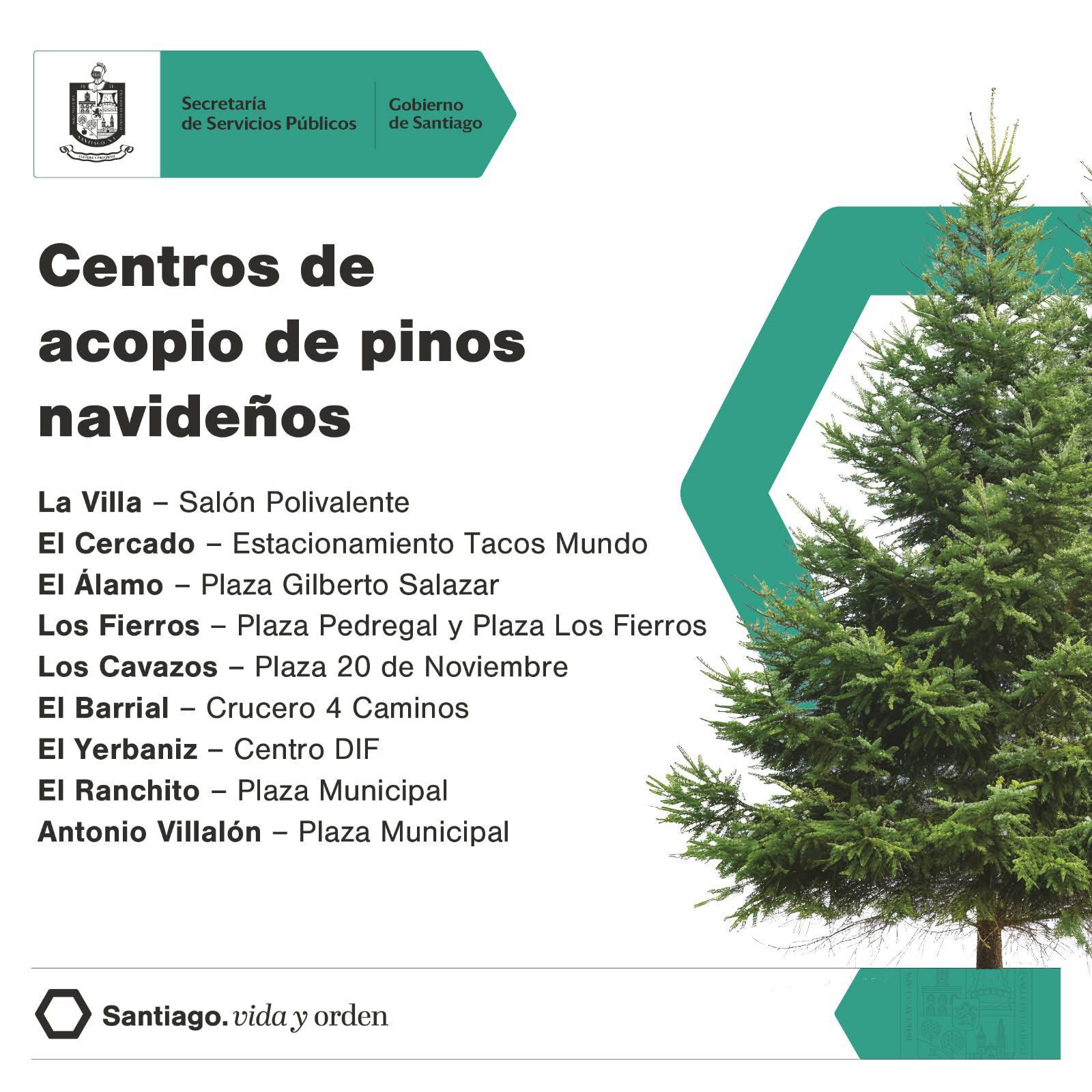 Habilita Santiago 10 Centros de Acopio para pinos navideños