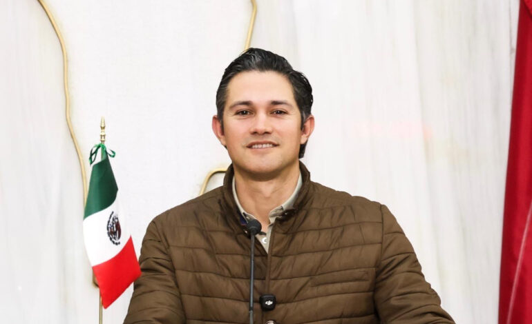 Alertan sobre posible plaga de insecto descortezador en la Sierra de Santiago