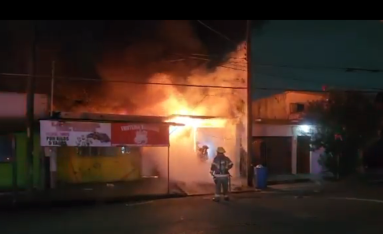 Llamas arrasan con frutería y dos autos en Apodaca