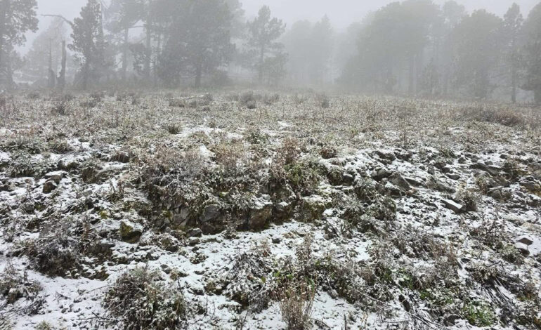 Reportan caída de nieve en el Potosí