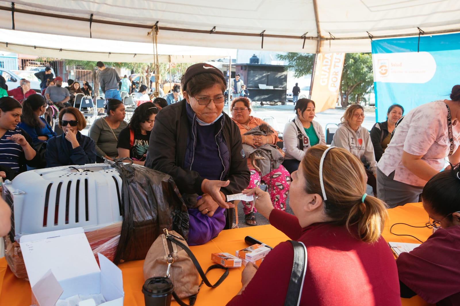 Previenen en Guadalupe por alza de población de mascotas