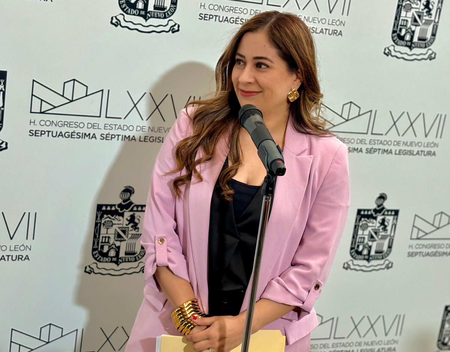 Bere Martínez propone ampliar órdenes de protección a víctimas de lesiones graves