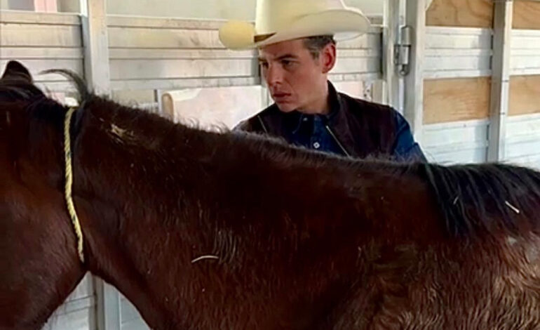 Creará Miguel Flores refugio para caballos en condiciones vulnerables