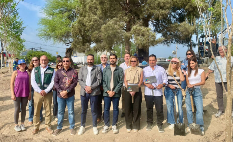 Quinientos árboles, el legado mundialista para San Pedro