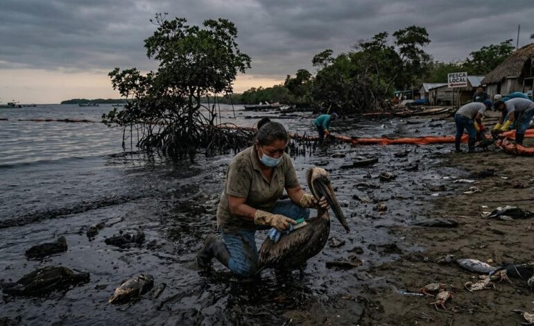 Investiga FGR derrame de petróleo en Veracruz y Tabasco; afecta más de 630 kms. de litoral
