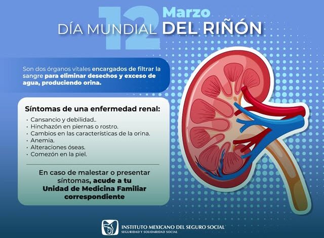 Identifica IMSS alrededor de 2.3 millones de sus derechohabientes con daño renal