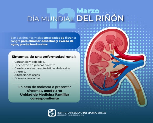 Identifica IMSS alrededor de 2.3 millones de sus derechohabientes con daño renal