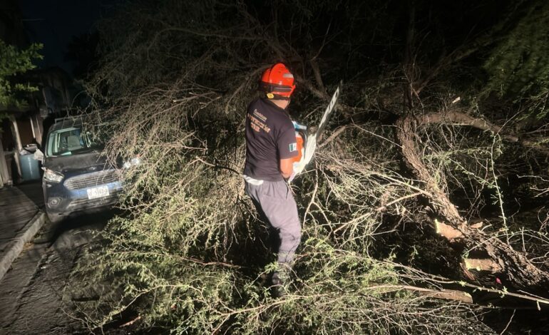 Atiende Protección Civil de Guadalupe afectaciones por vientos