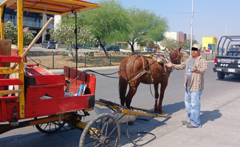 Por chicotearlo, se quedó sin caballo y sin carretón