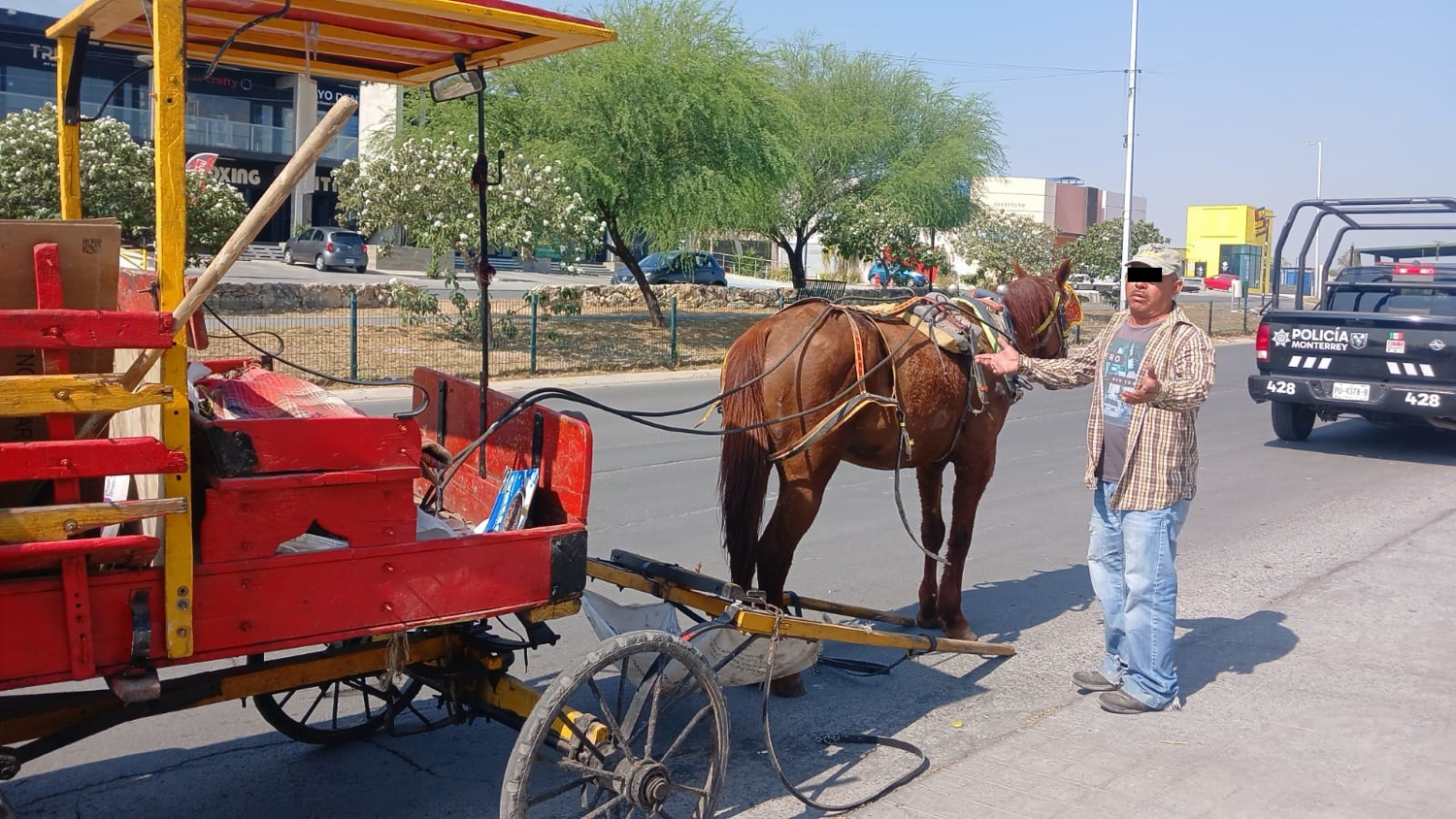 Por chicotearlo, se quedó sin caballo y sin carretón