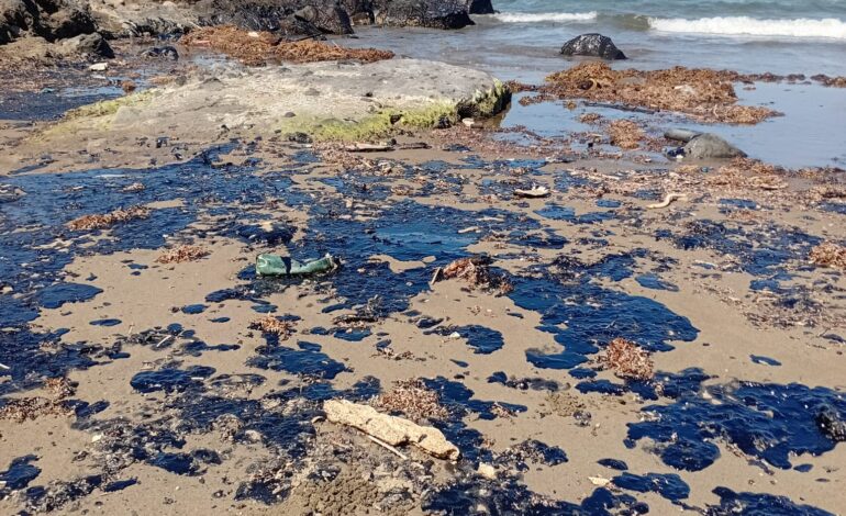 Fuga de crudo contamina 170 kms de costas veracruzanas