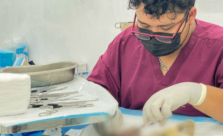 Impulsa Santa Catarina esterilizaciones gratuitas de perros y gatos