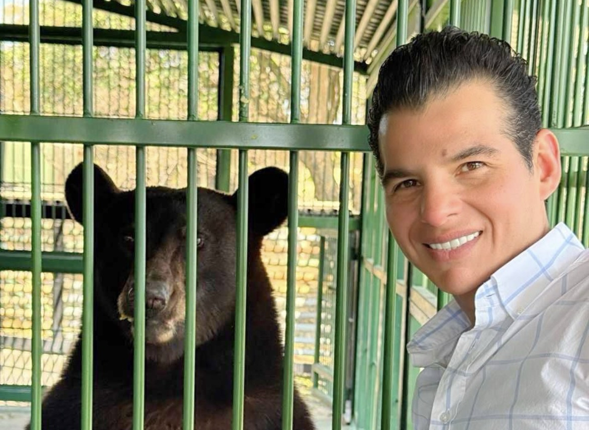 Mike Flores supervisa evolución de Tadeo, oso negro rescatado hace ocho meses