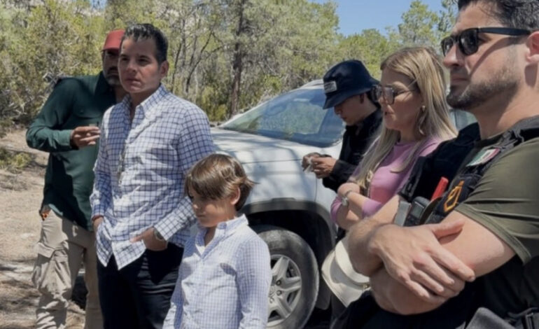 De estado crítico a la libertad: Mike Flores encabeza liberación del oso “Tadeo” en Nuevo León