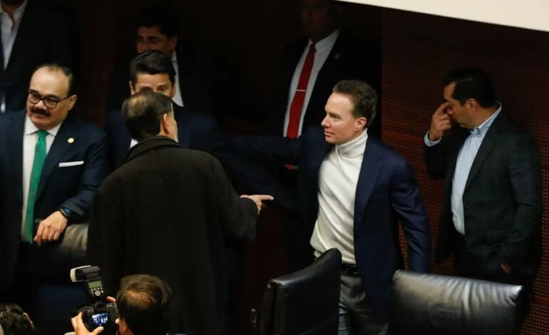 Reforma Electoral causa división en el Partido Verde