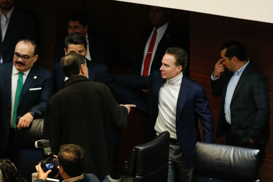 Reforma Electoral causa división en el Partido Verde