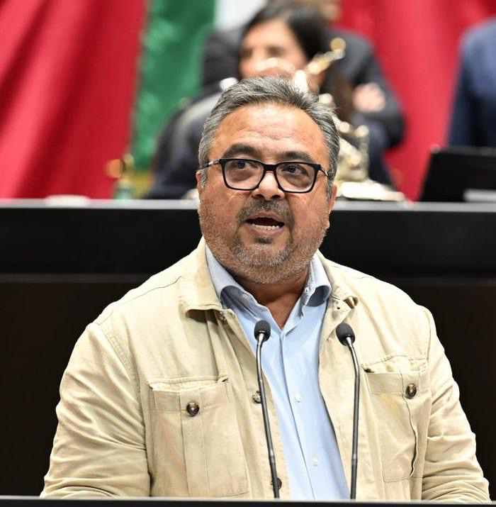«Sigan ladrando perros»… Víctor Pérez confronta a diputados de MORENA en el debate por el Plan B