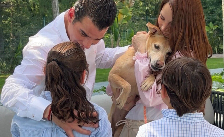 Adoptar una mascota transforma vidas: Miguel Flores