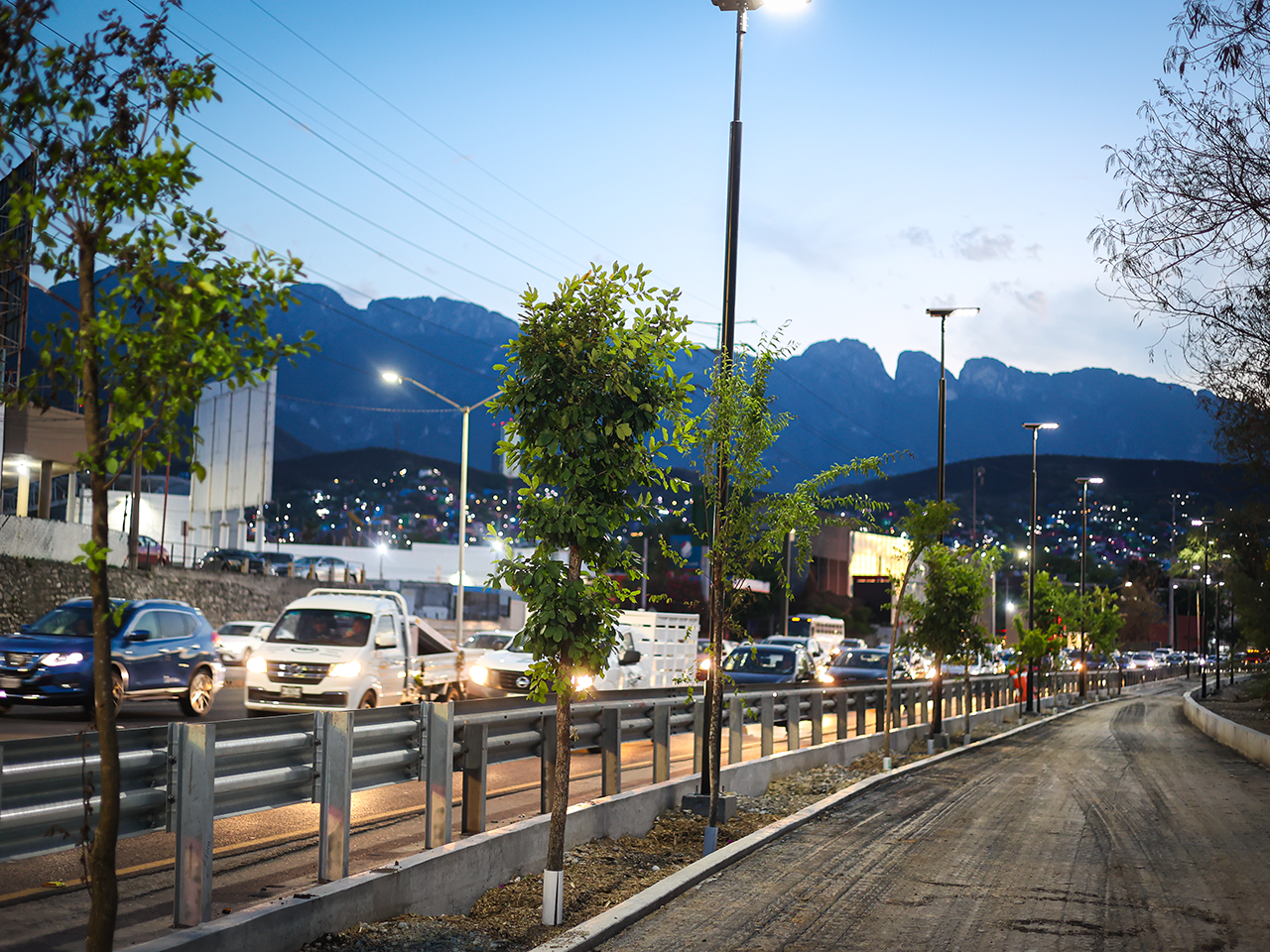 Ponen más verde a la Ciudad con  arborización de circuitos lineales en Morones Prieto