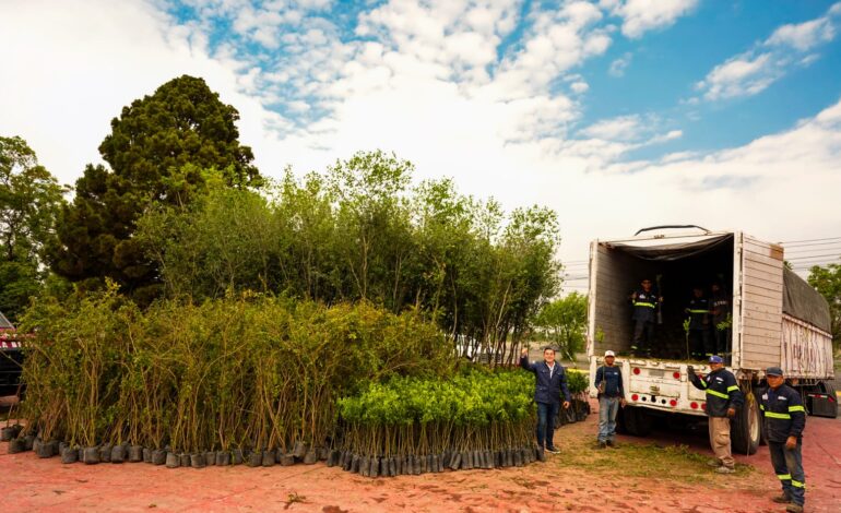 Entregará García con programa «Adopta Vida» 10 mil árboles a ciudadanía