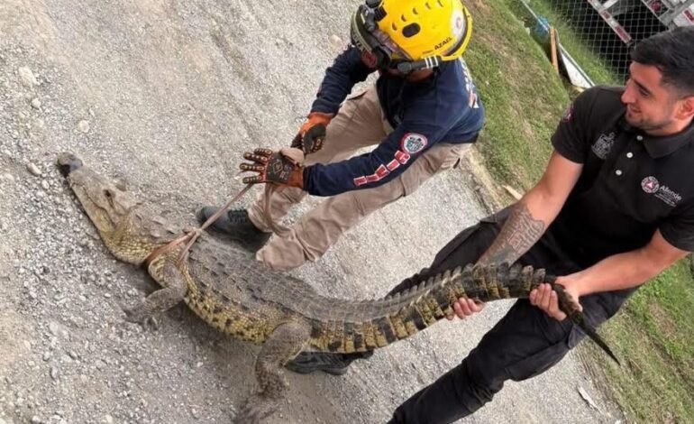 Por vago capturan a «El Coco» en calles de Allende