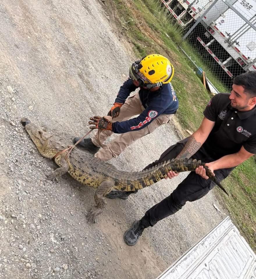 Por vago capturan a «El Coco» en calles de Allende