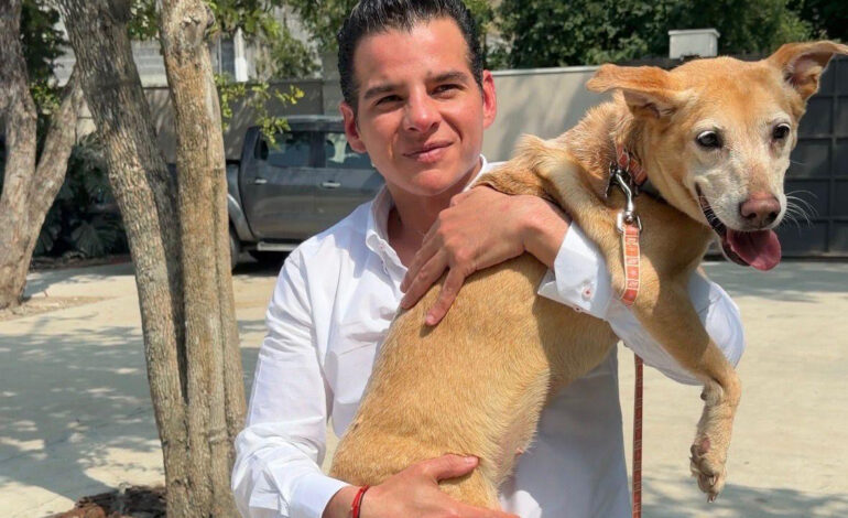 «Ha valido la pena cada esfuerzo”: Mike Flores impulsa rescate animal en Nuevo León