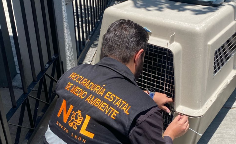 Nueva División Ambiental actúa contra el maltrato animal en varios municipios