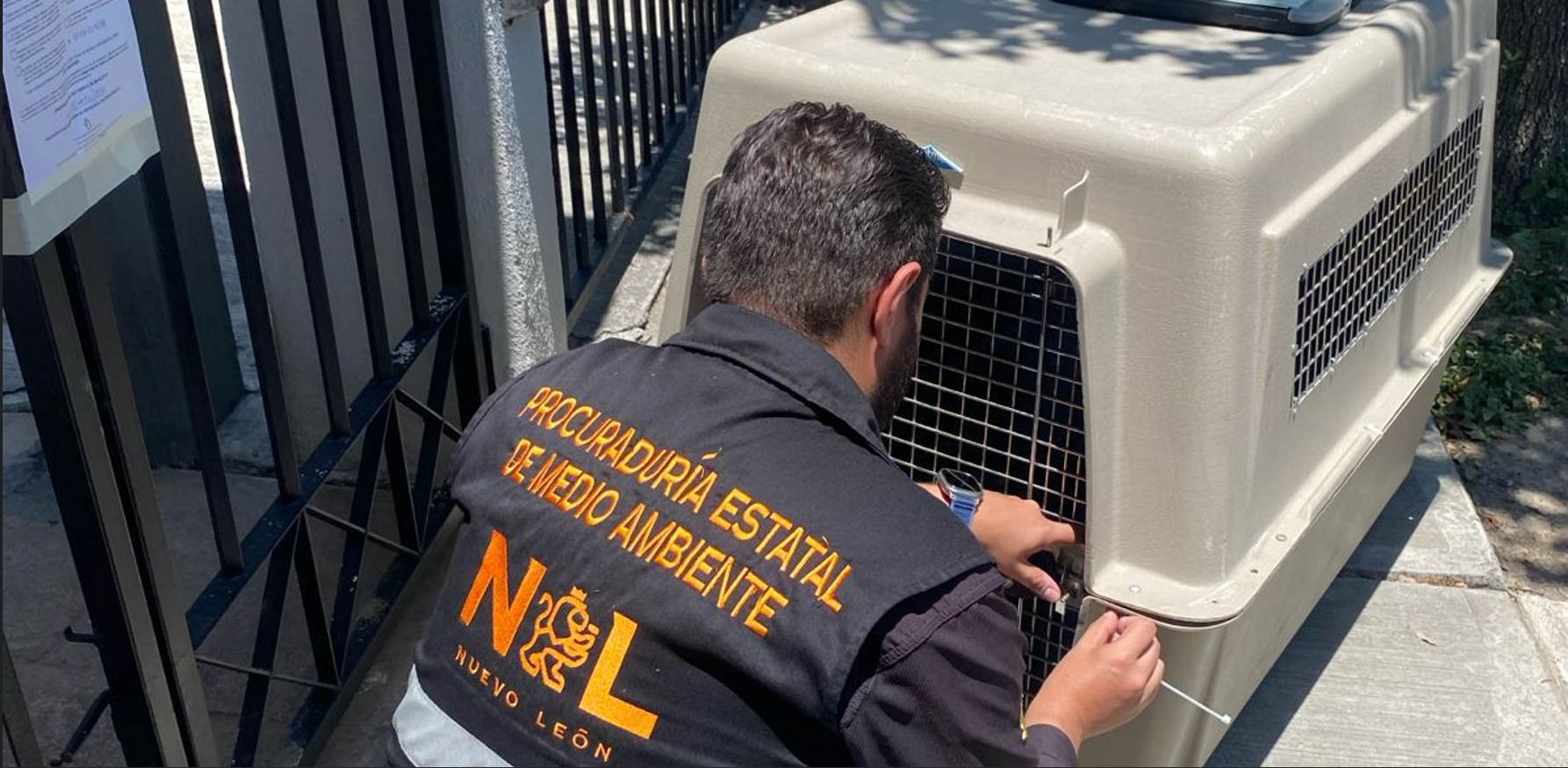 Nueva División Ambiental actúa contra el maltrato animal en varios municipios