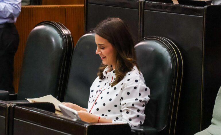 Entre Samuel y Morena dejaron sin presupuesto a Nuevo León, afirma Lorena de la Garza