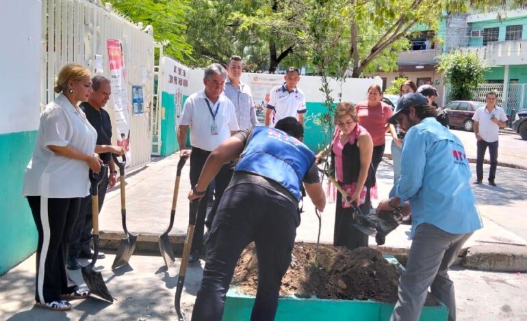 Impulsa Monterrey reforestación urbana en planteles educativos