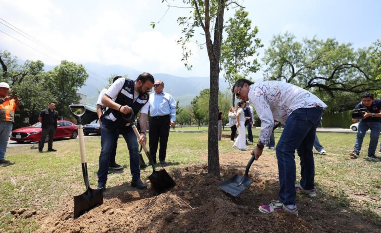 Reforesta San Pedro en Calzada del Rosario con “gigantes verdes”