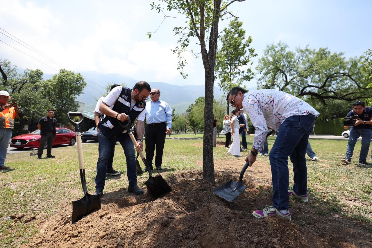 Reforesta San Pedro en Calzada del Rosario con “gigantes verdes”