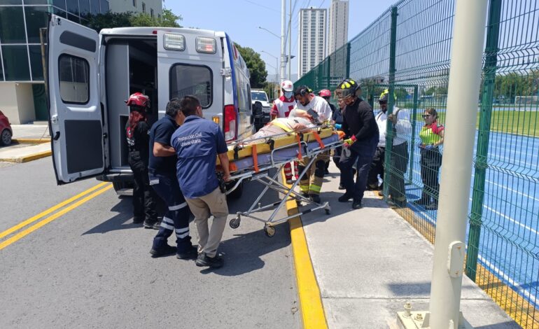 Activan en Santiago Protocolo RI tras ataque mortal de abejas en La Adjuntas