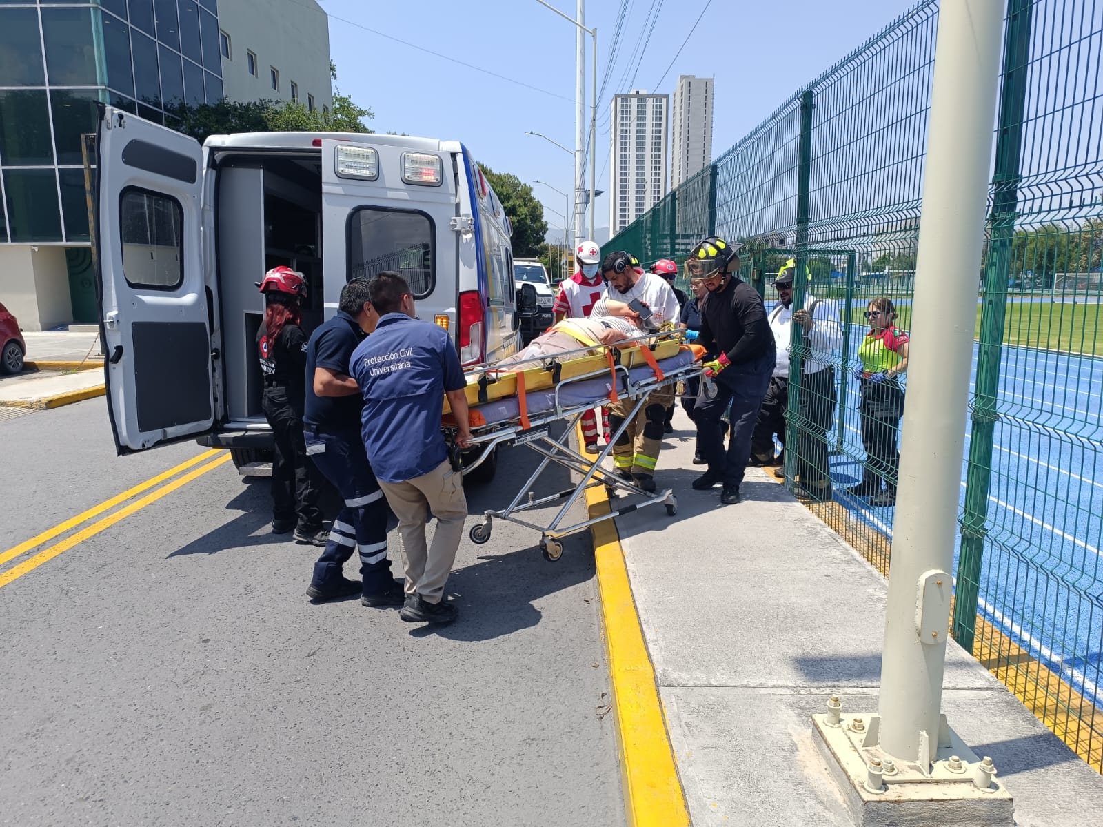 Activan en Santiago Protocolo RI tras ataque mortal de abejas en La Adjuntas