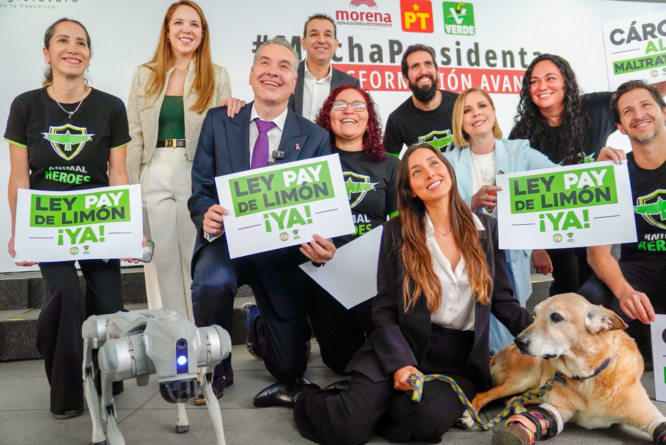 La sociedad ya está haciendo su parte para proteger a los animales; ahora le toca al Estado: Waldo Fernández