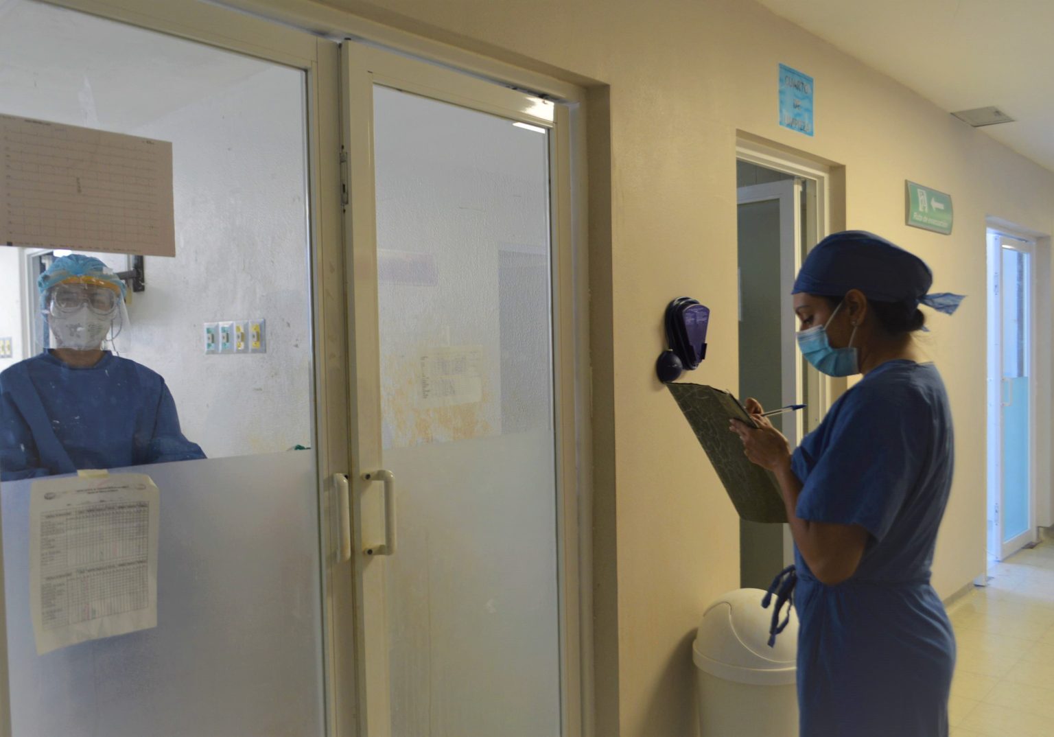 Reporta Guanajuato dos adultos mayores afectados por gusano barrenador