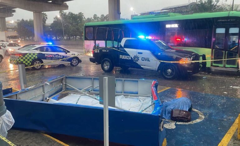 Mujer muere al caerle panorámico durante la tormenta en San Nicolás