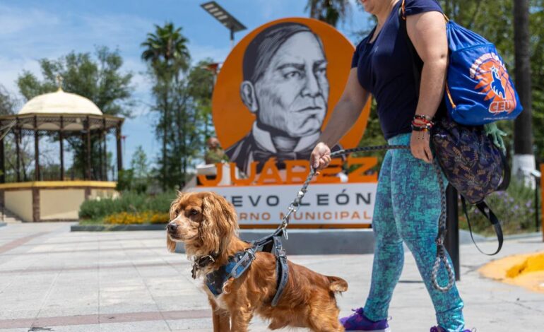 Juárez celebrará el Día Mundial del Perro con jornada gratuita “Dejando Huella”