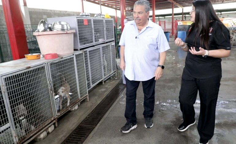Fomenta Municipio de Escobedo la adopción de mascotas