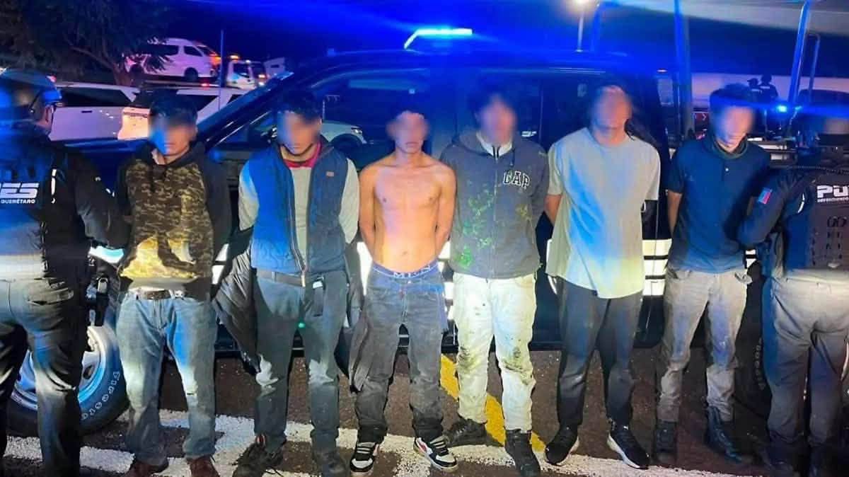 Capturan a banda de ratas identificada como el terror de los traileros en la Hidalgo-Querétaro